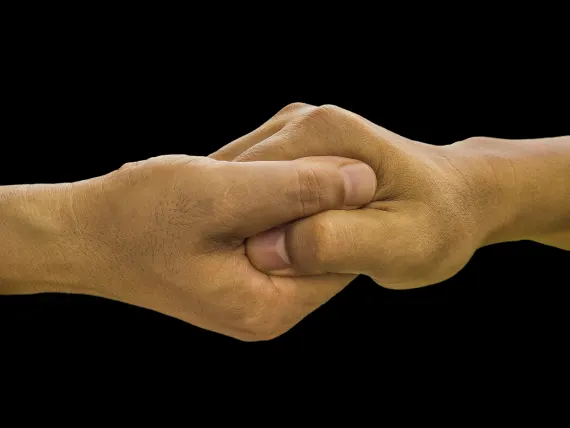 BlueFox Casino Soporte